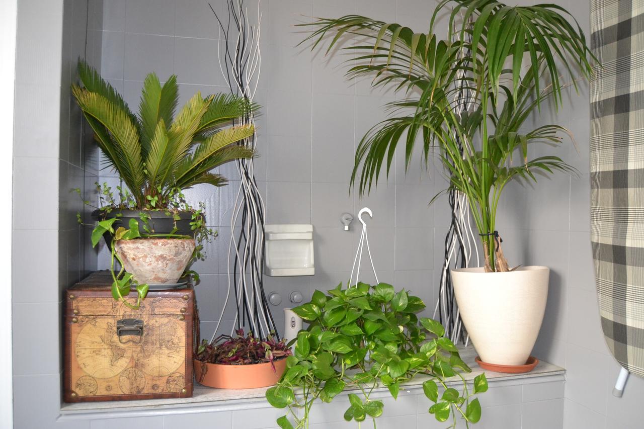 Central Avenue B&B Bolonya Dış mekan fotoğraf