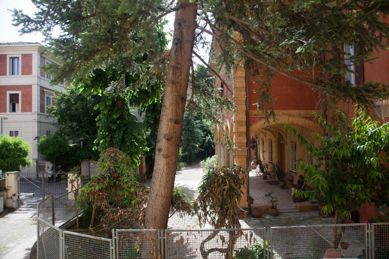 Central Avenue B&B Bolonya Dış mekan fotoğraf